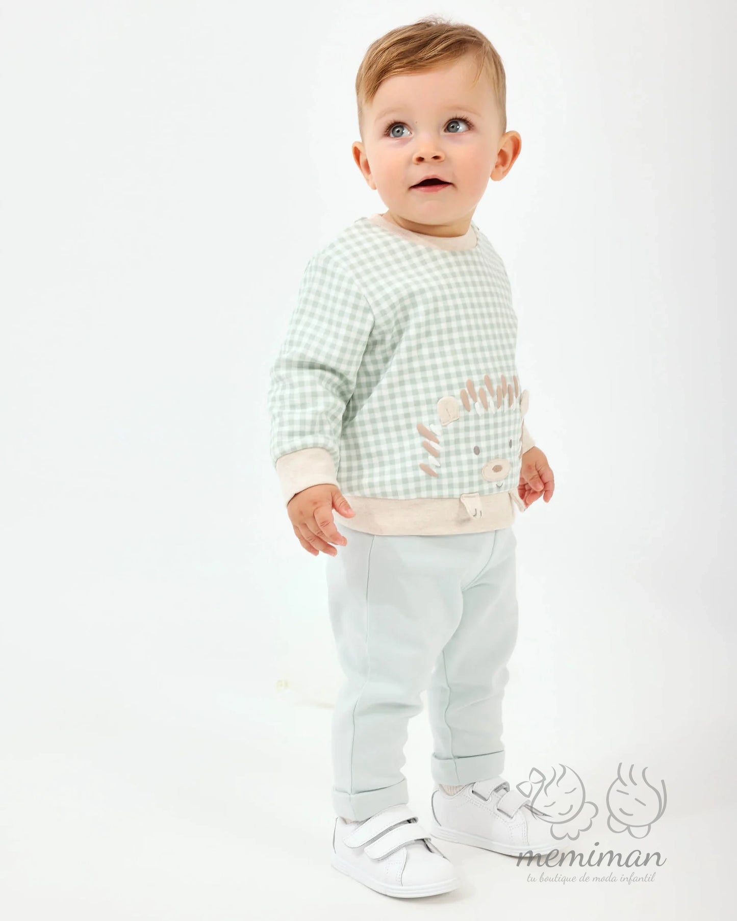 2701W25 PATIO Baby Hedgehog Set