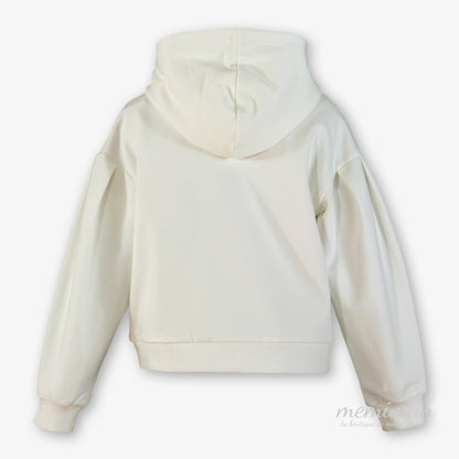 38-0313-1 Hooded Sweatshirt 