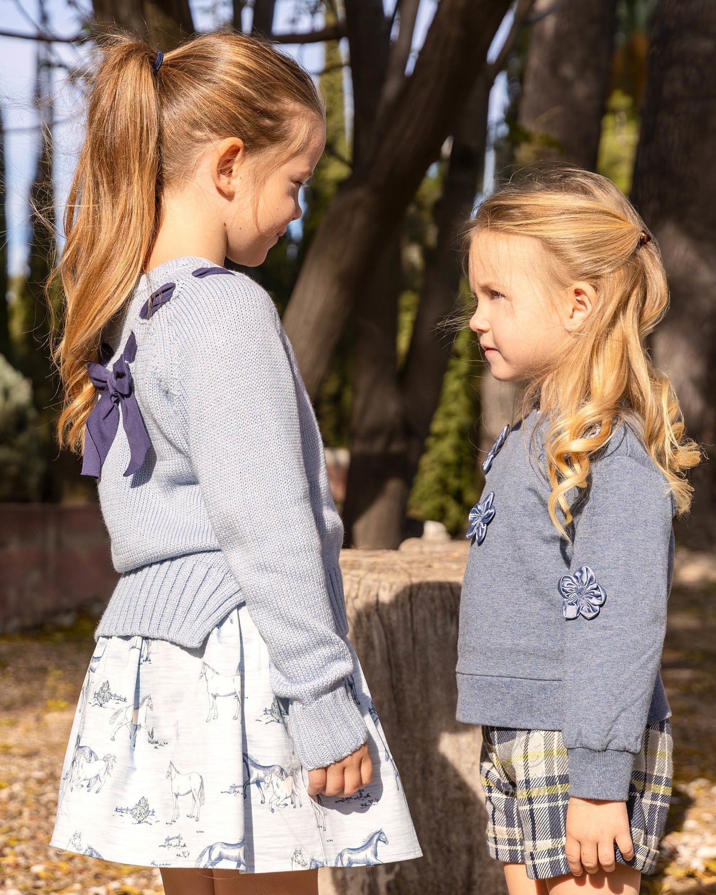 3670W25 DRESSAGE Horse Skirt