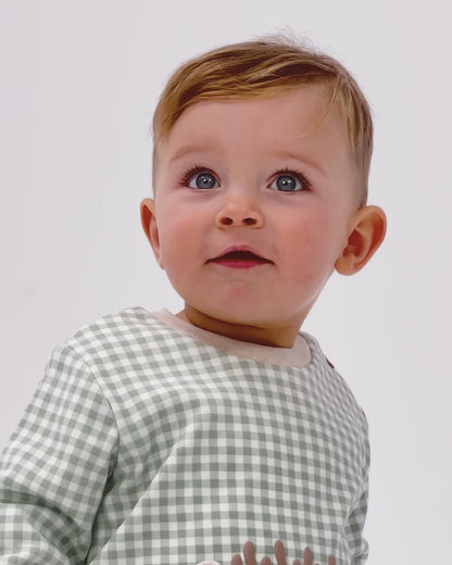 2701W25 PATIO Baby Hedgehog Set